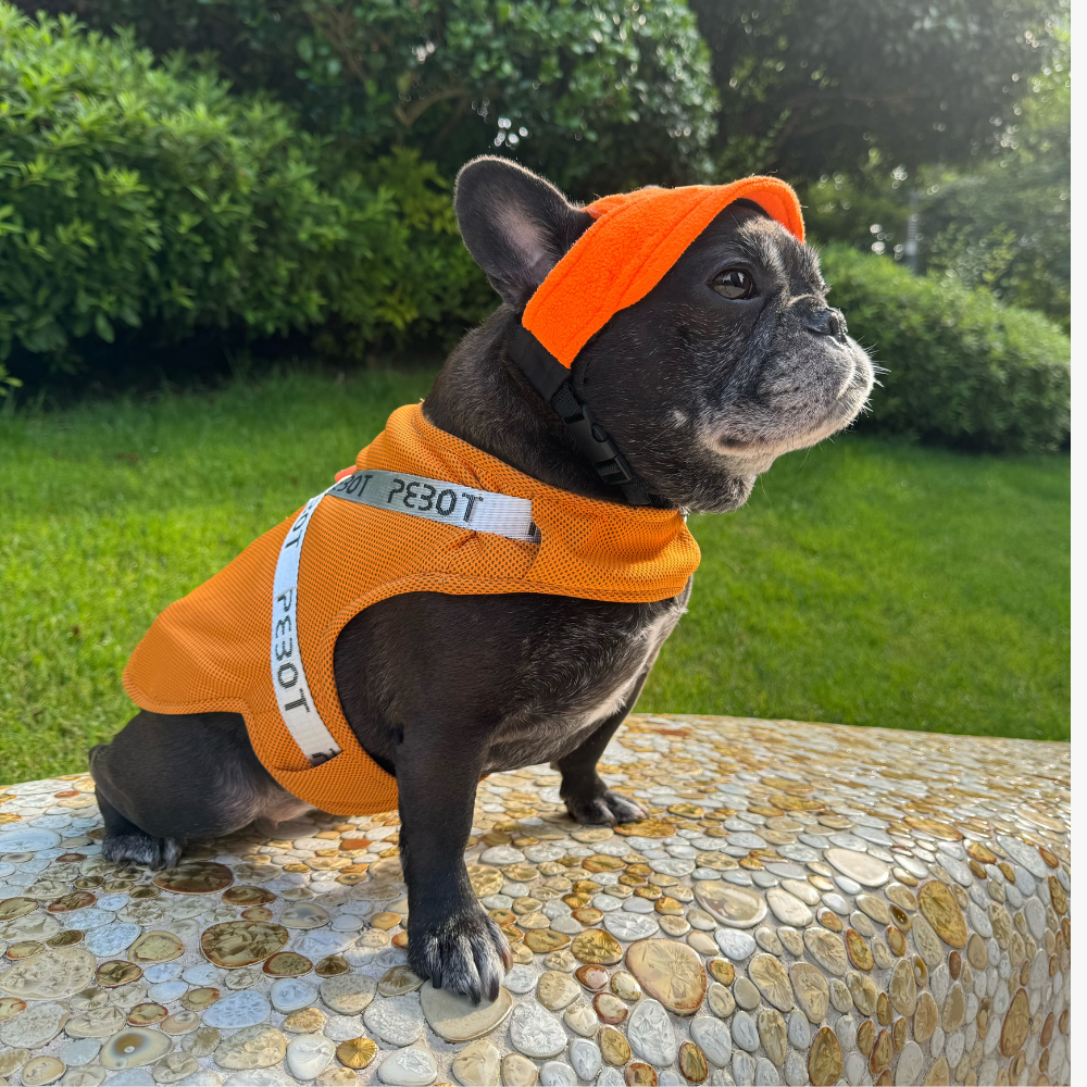 Hedwig Cooling Vest & Harness - Ginger