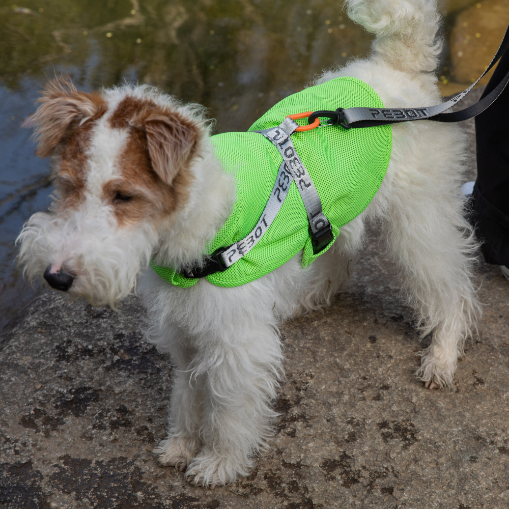 Hedwig Cooling Vest & Harness - Lime