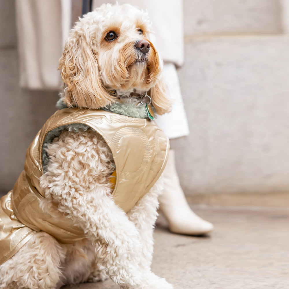 Avatar Reversible Vest - Gold / Green