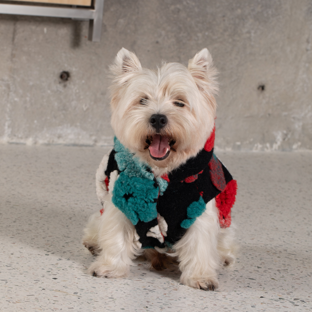 Poppy Reversible Vest - Red Floral