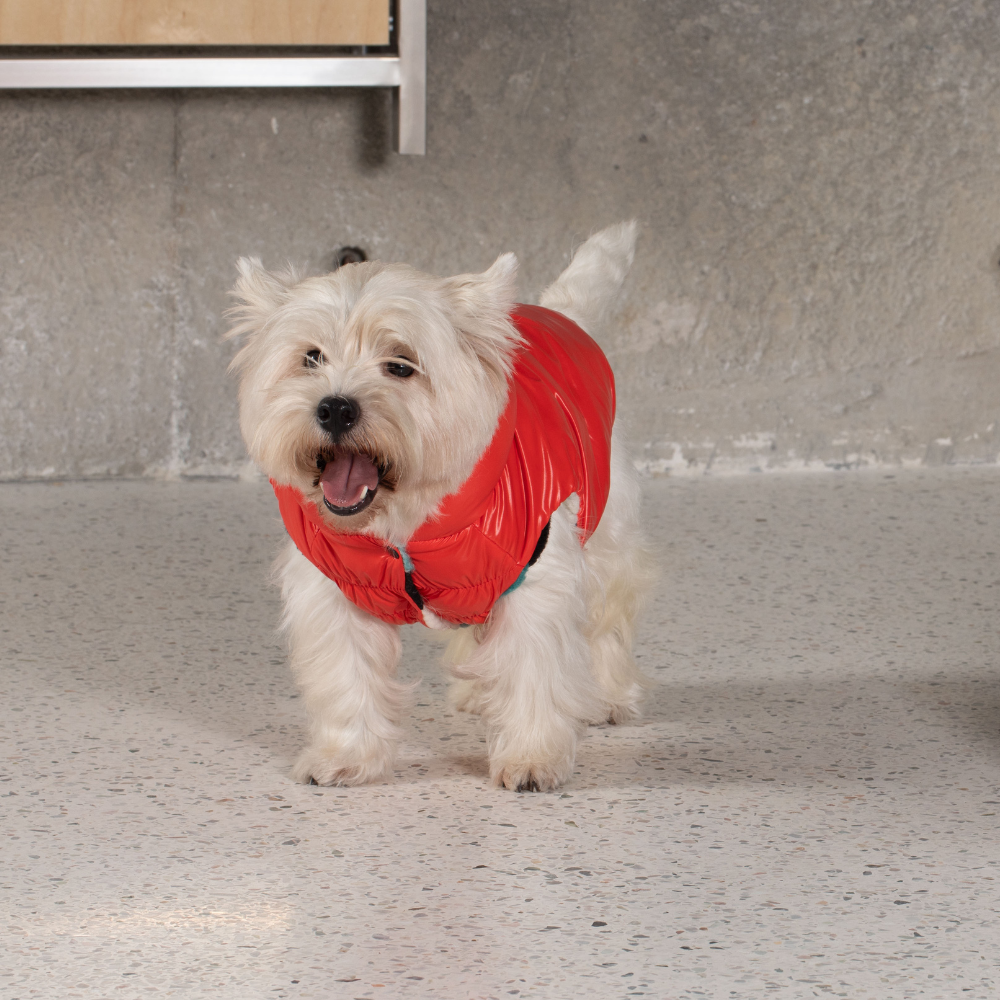 Poppy Reversible Vest - Red Floral