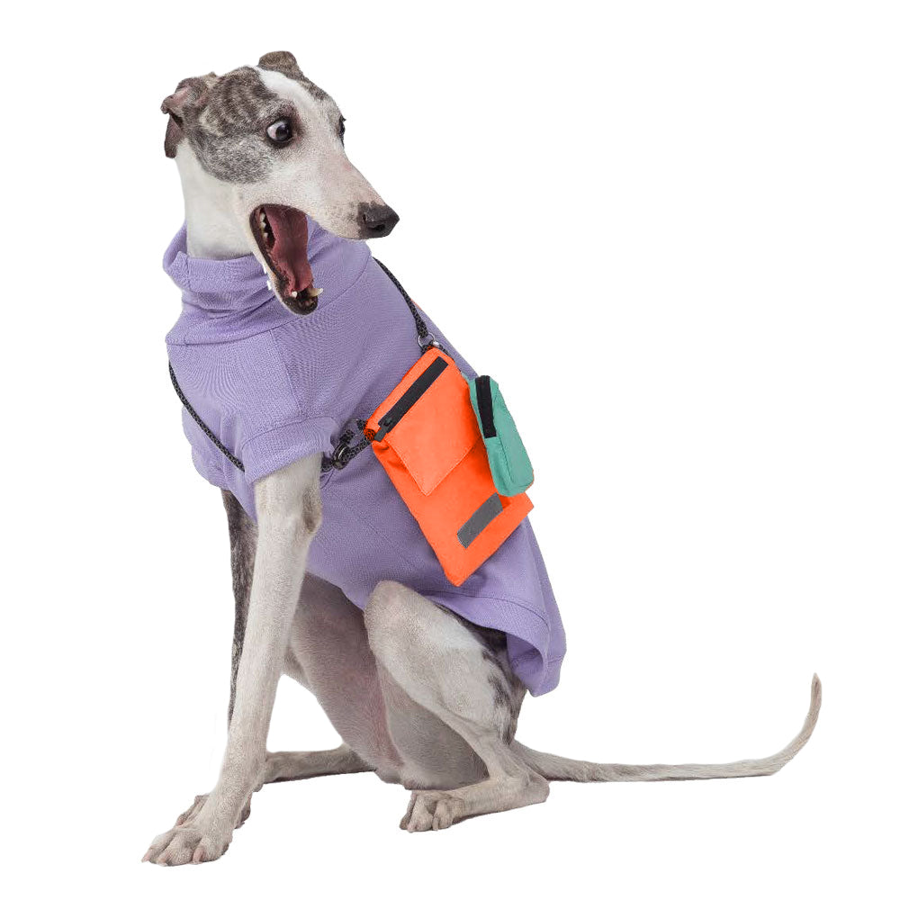 Pebot Waterproof Dog & Cat Crossbody Walking Poop / Treat / Phone Zip Bag - Orange