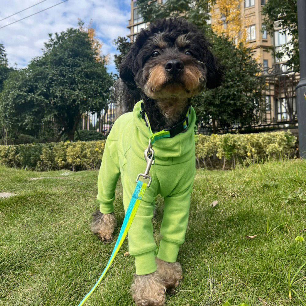 Gumdrop Onesie - Olive