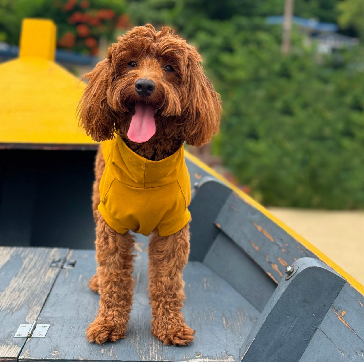 Gobi UPF 50+ Sun Protection Tee - Ginger