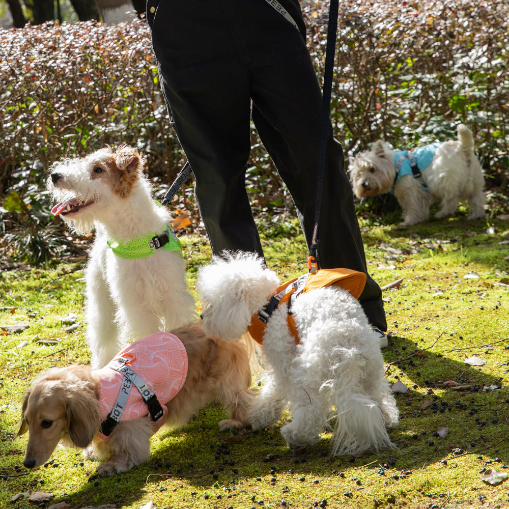 Hedwig Cooling Vest & Harness - Pink Geo