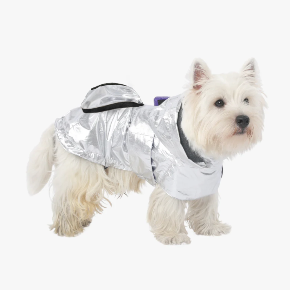 Alita+ Travel Raincoat - Silver Metallic
