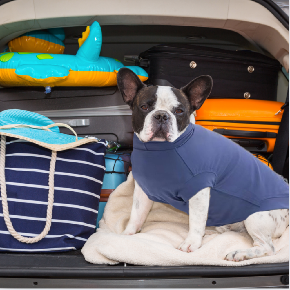 Gobi UPF 50+ Sun Protection Tee - Grape