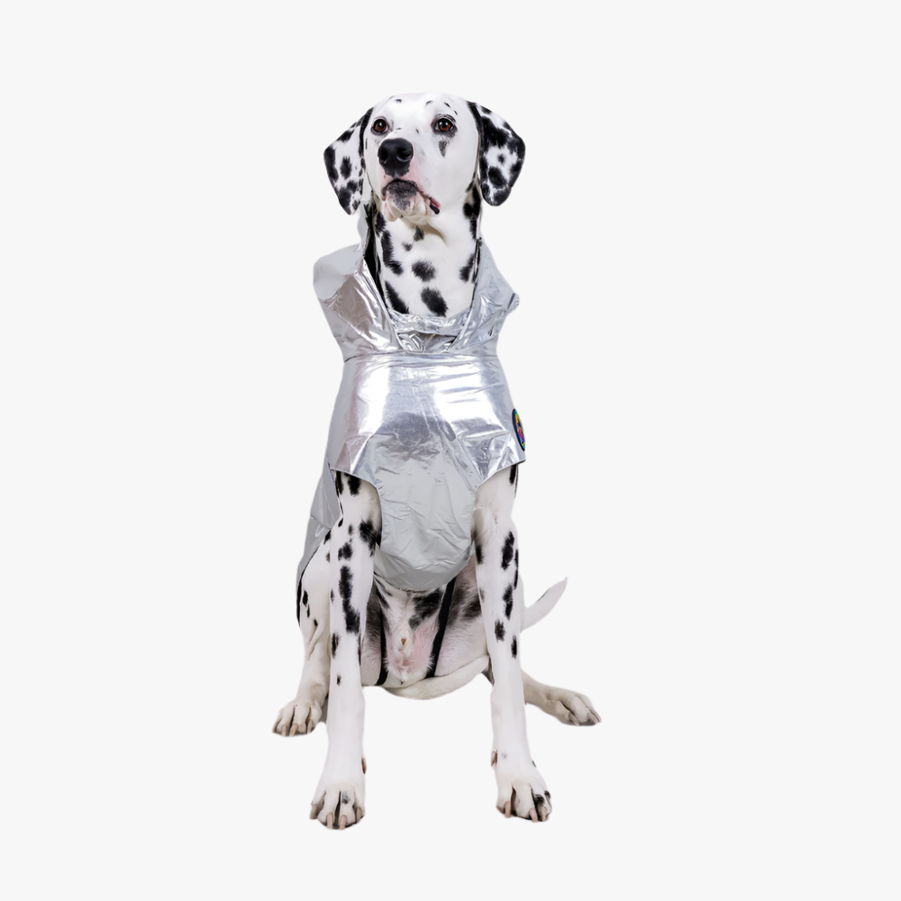 Alita+ Travel Raincoat - Silver Metallic