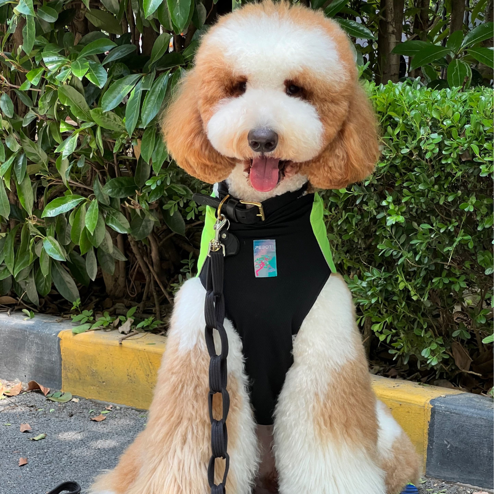 Dobby Cooling T-Shirt - Lime