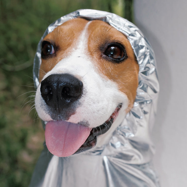 Alita Raincoat - Silver Metallic