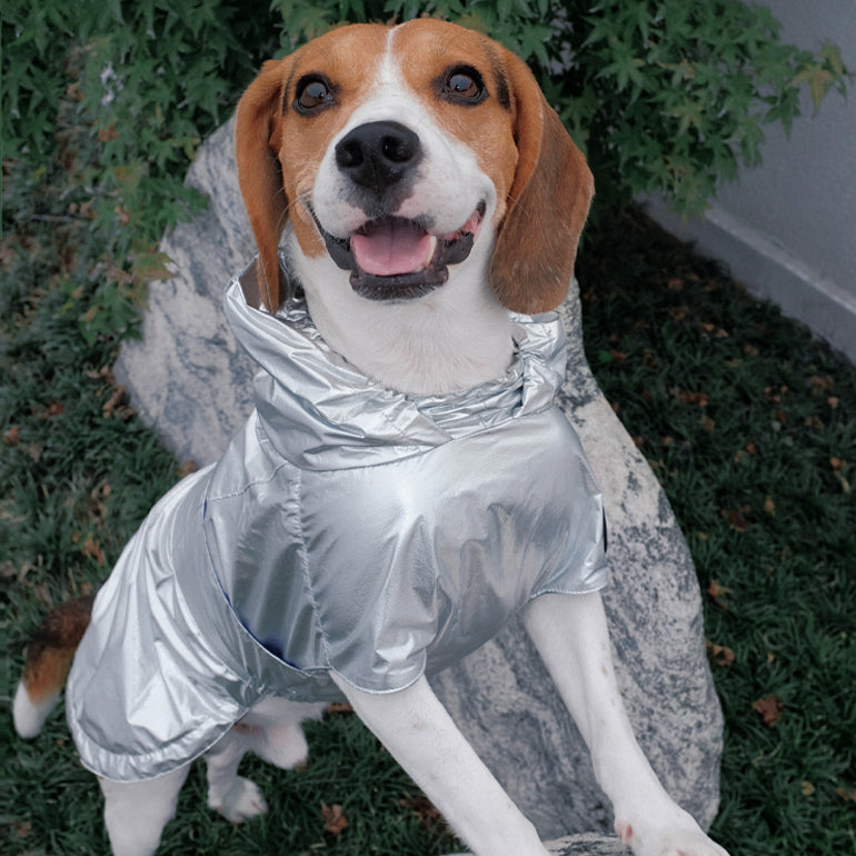 Alita Raincoat - Silver Metallic