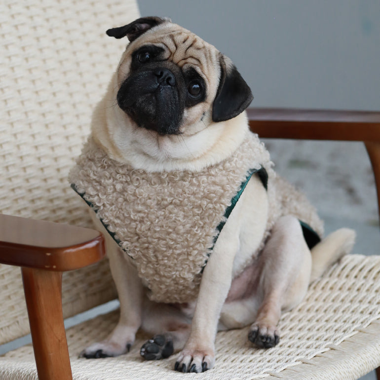 Avatar Reversible Vest - Green / Tan