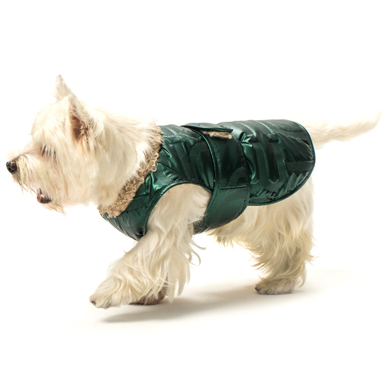 Avatar Reversible Vest - Green / Tan