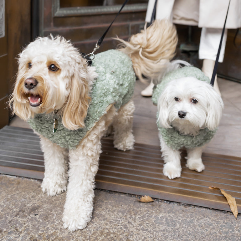 Avatar Reversible Vest - Gold / Green