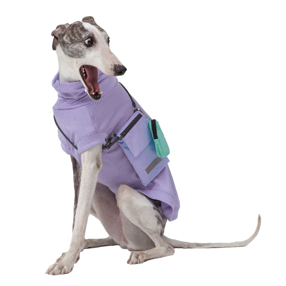 Pebot Waterproof Dog & Cat Crossbody Walking Poop / Treat / Phone Zip Bag - Lavender