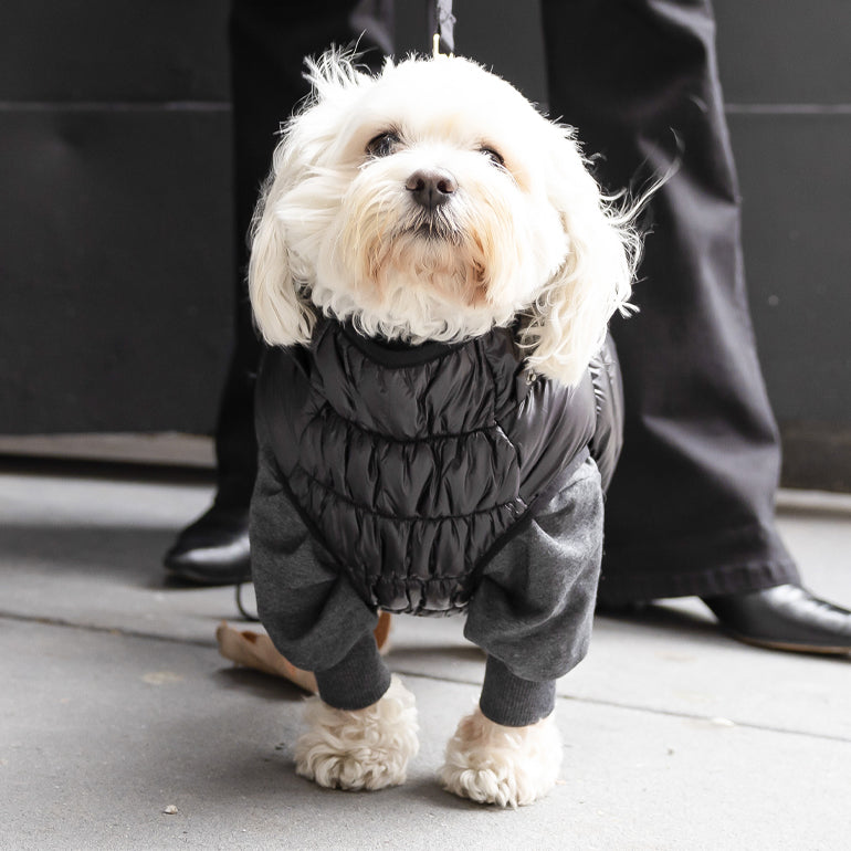 Pebot Puffer - Black