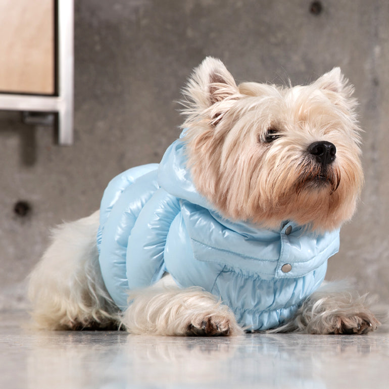 Pebot Puffer - Sky Blue