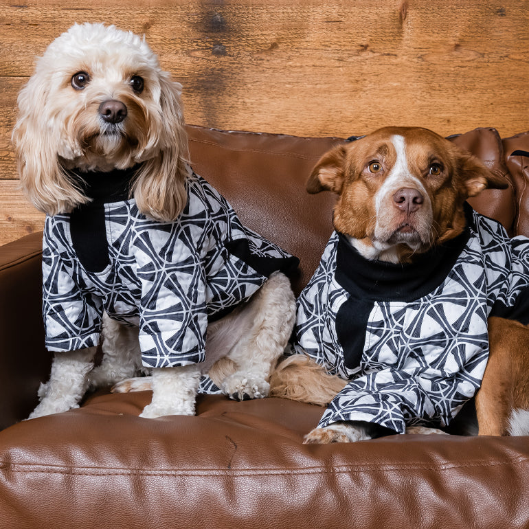 Ranger 2 Jacket - Frisbee Black & White