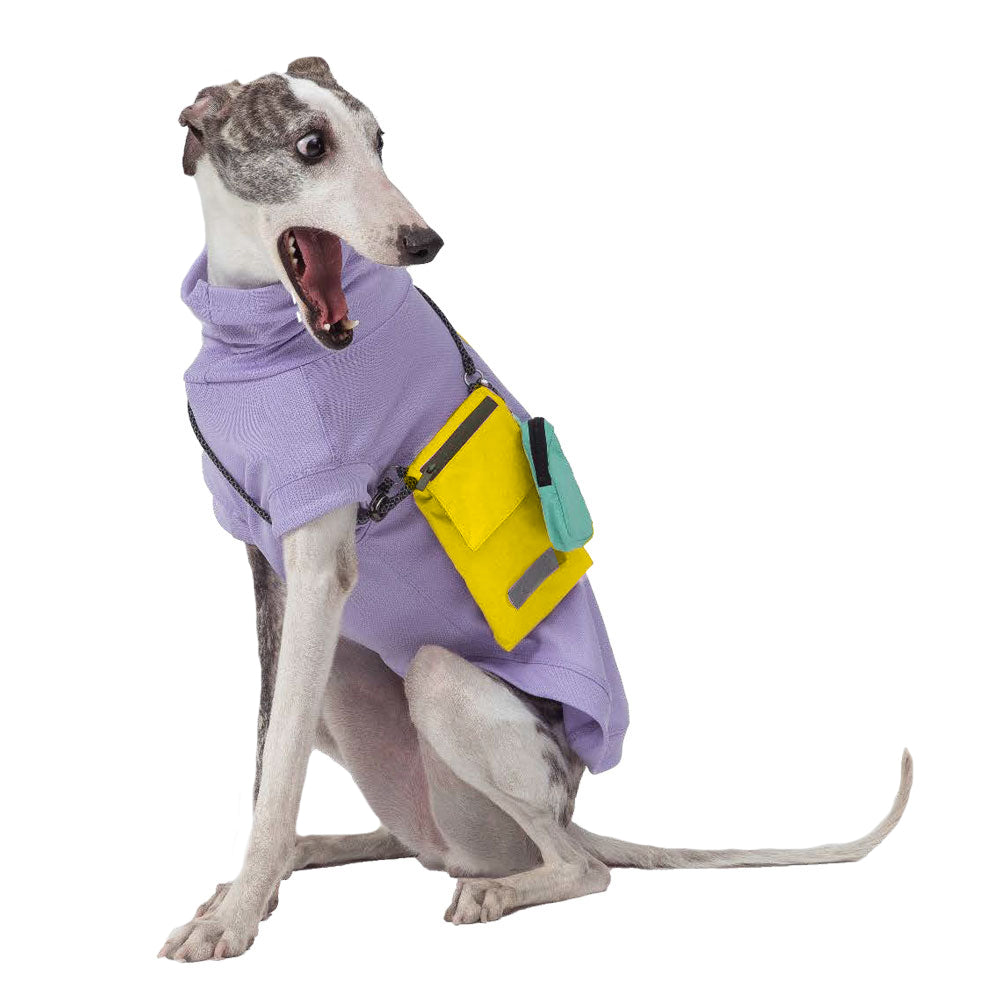 Pebot Waterproof Dog & Cat Crossbody Walking Poop / Treat / Phone Zip Bag - Yellow