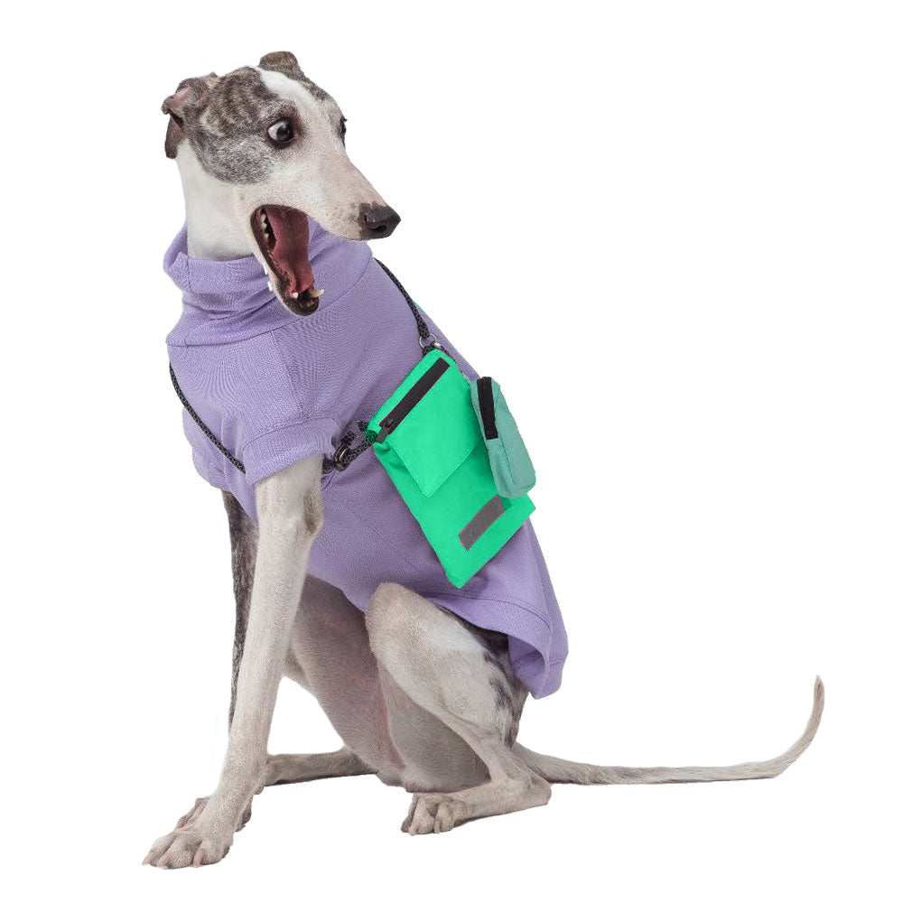 Pebot Waterproof Dog & Cat Crossbody Walking Poop / Treat / Phone Zip Bag - Teal