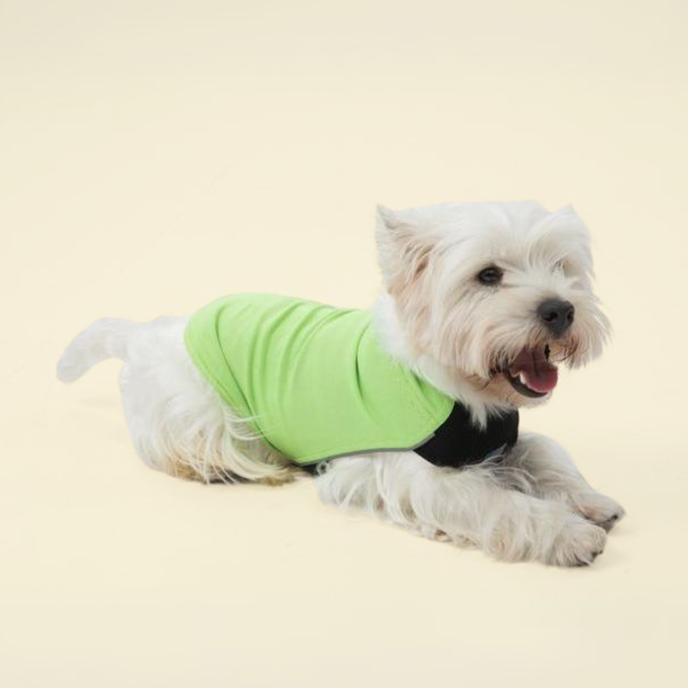 Dobby Cooling T-Shirt - Green
