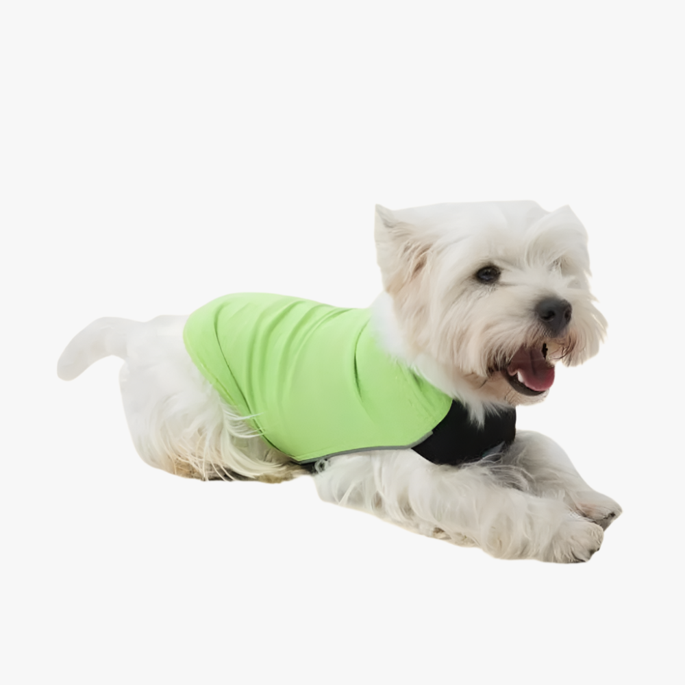 Satoshi: Quick-Dry Cooling T-Shirt