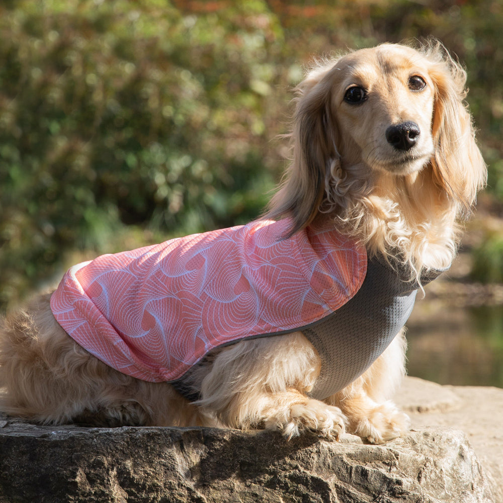 Dobby Cooling T-Shirt - Pink Geo