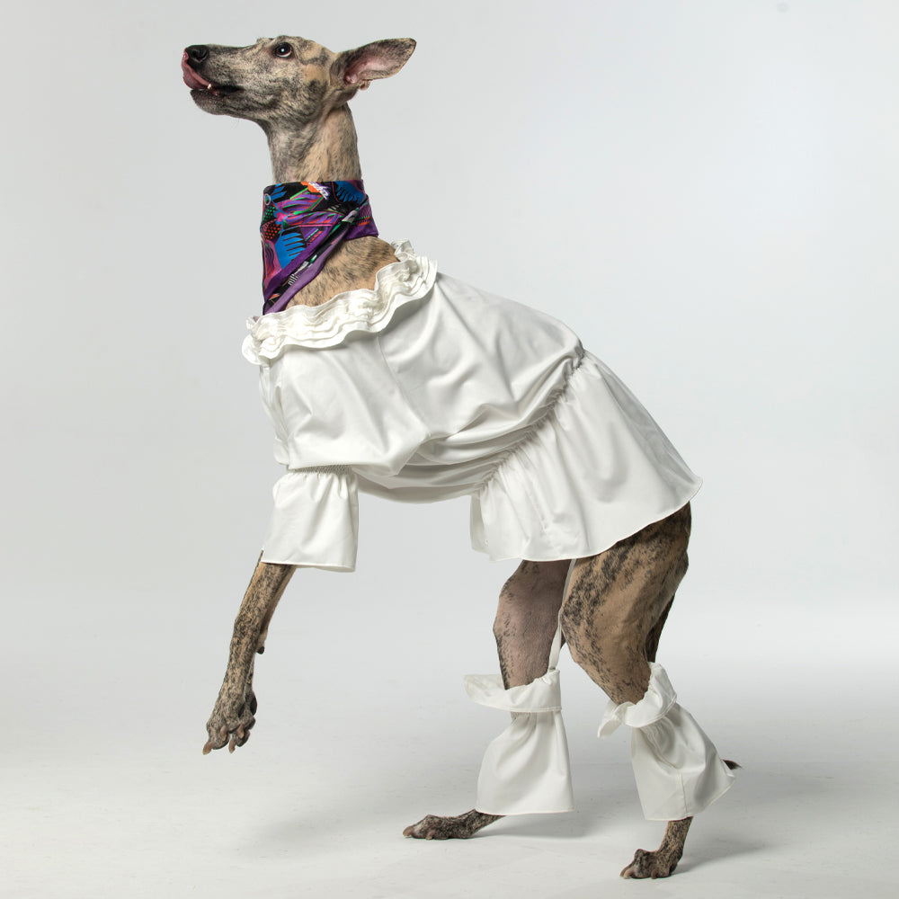 Queen Blouse - White