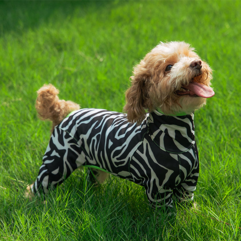 Buzzz Off Onesie (Natural Anti-Mosquito Repellent)