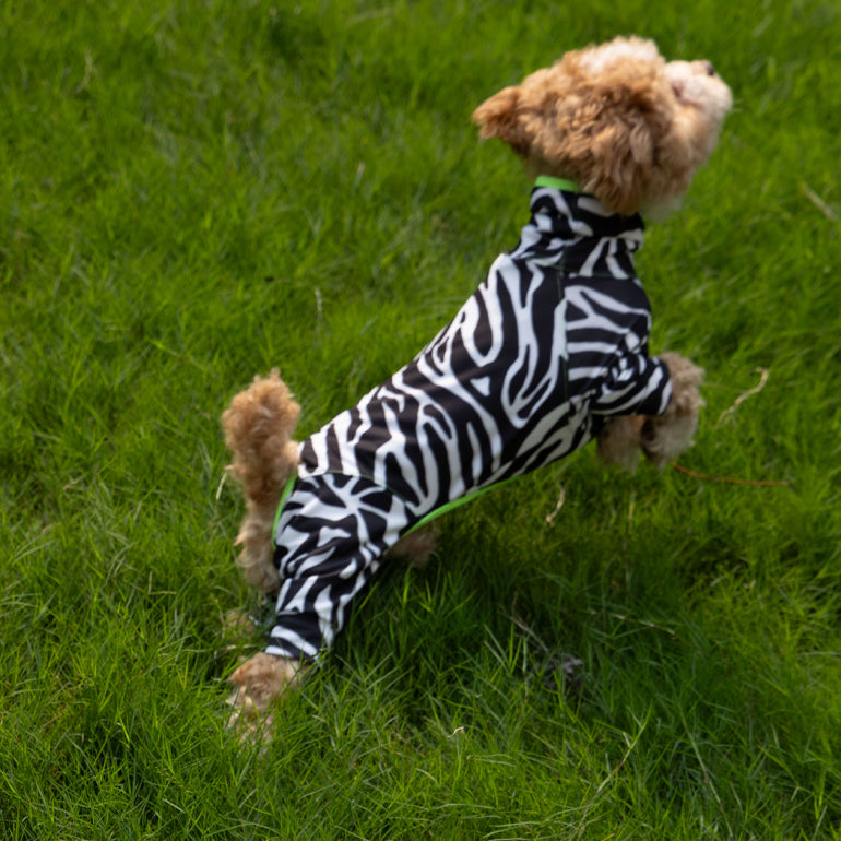 Buzzz Off Onesie (Natural Anti-Mosquito Repellent)