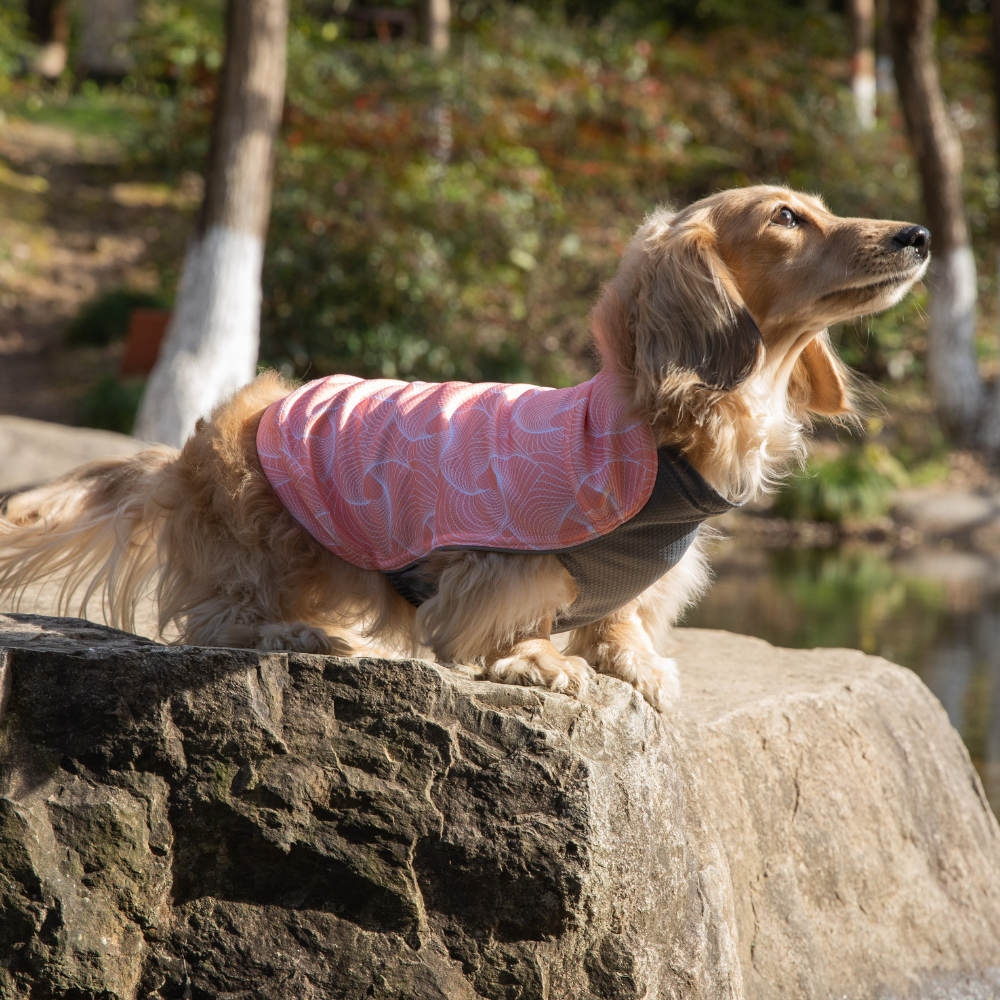 Dobby Cooling / Sun Protection T-Shirt - Pink Geo