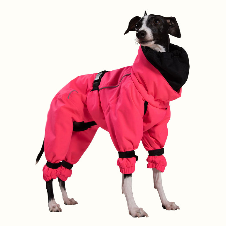 Elsa High Performance Wintersuit - Pink