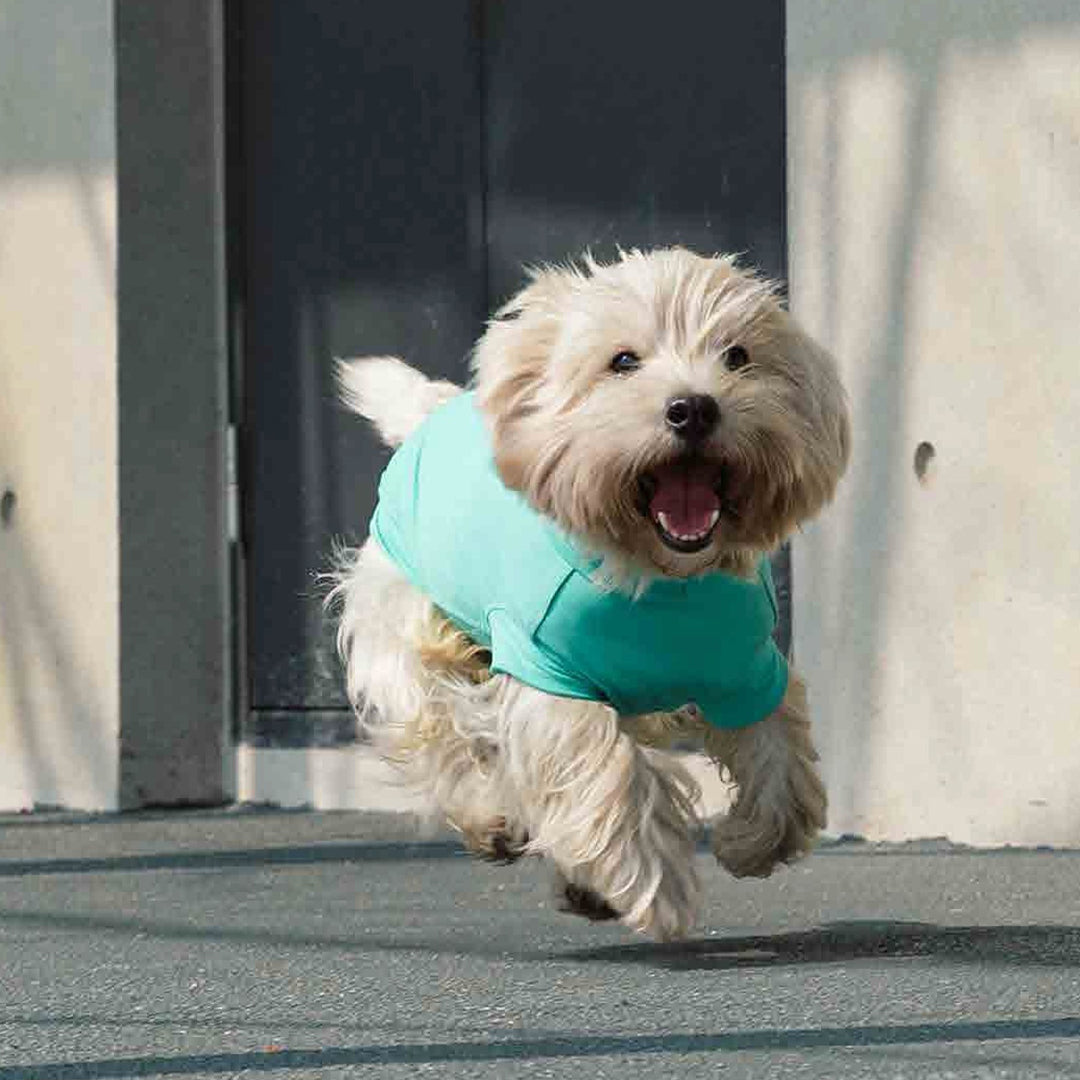 Gobi UPF 2000+ Sun Protection / Cooling Tee - Teal