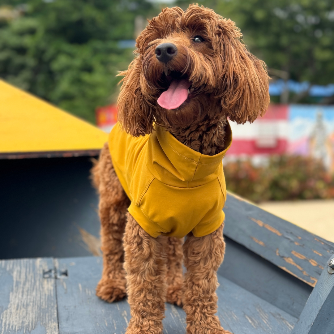 Gobi UPF 2000+ Sun Protection / Cooling Tee - Ginger