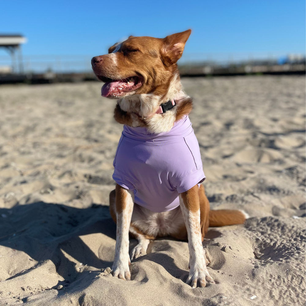 Gobi UPF 2000+ Sun Protection / Cooling Tee - Lavender