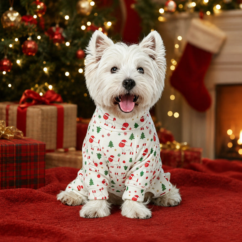 Gumdrop Onesie - Chrismas Spacedog