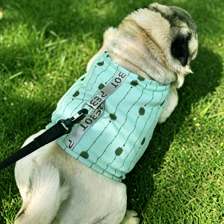Hedwig Cooling Vest & Harness - Mint Hedgehog