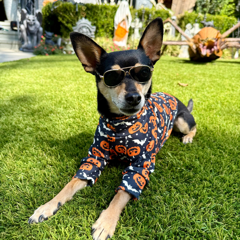 Buttercup T-Shirt - Halloween Bats