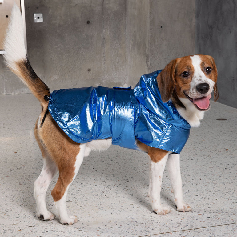 Alita Raincoat - Blue Metallic