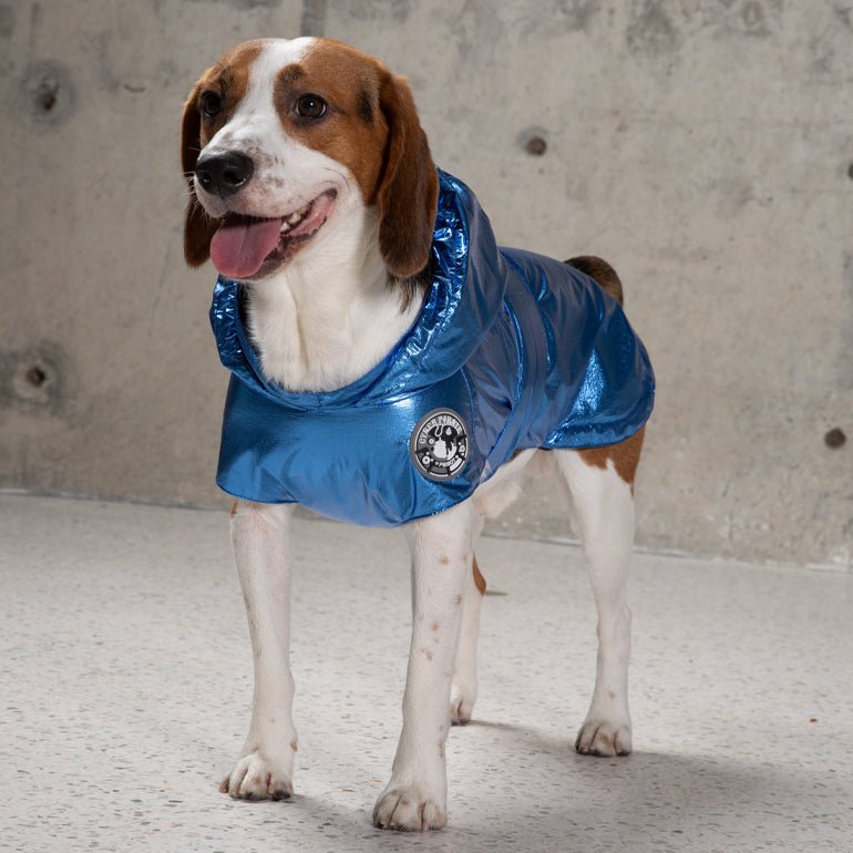 Alita Raincoat - Blue Metallic