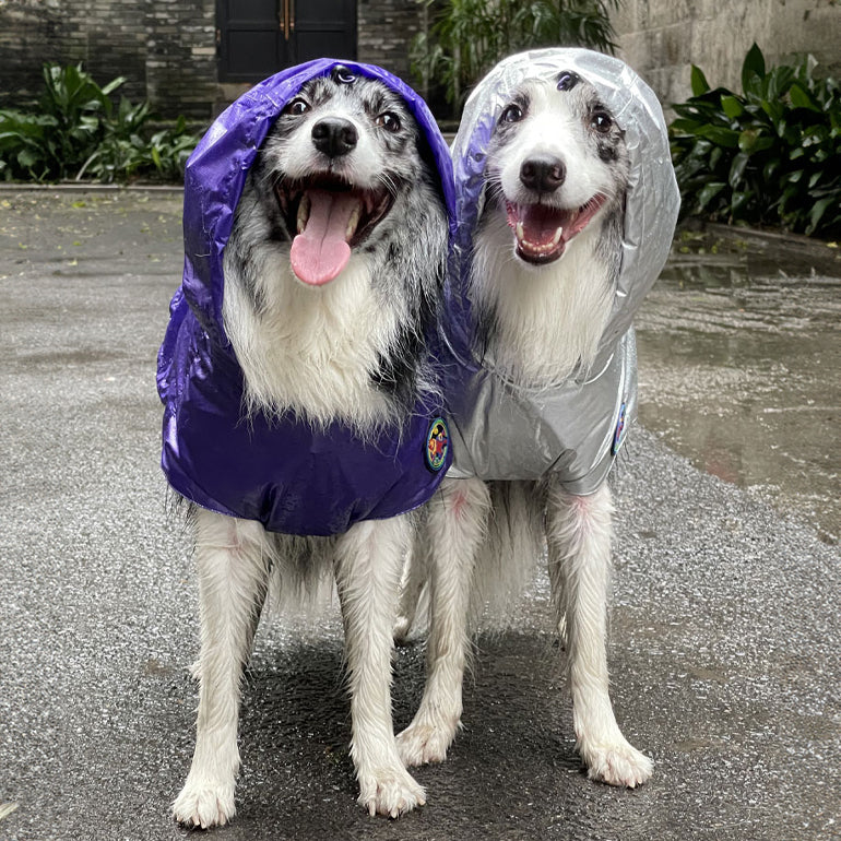 Alita Raincoat - Purple Metallic