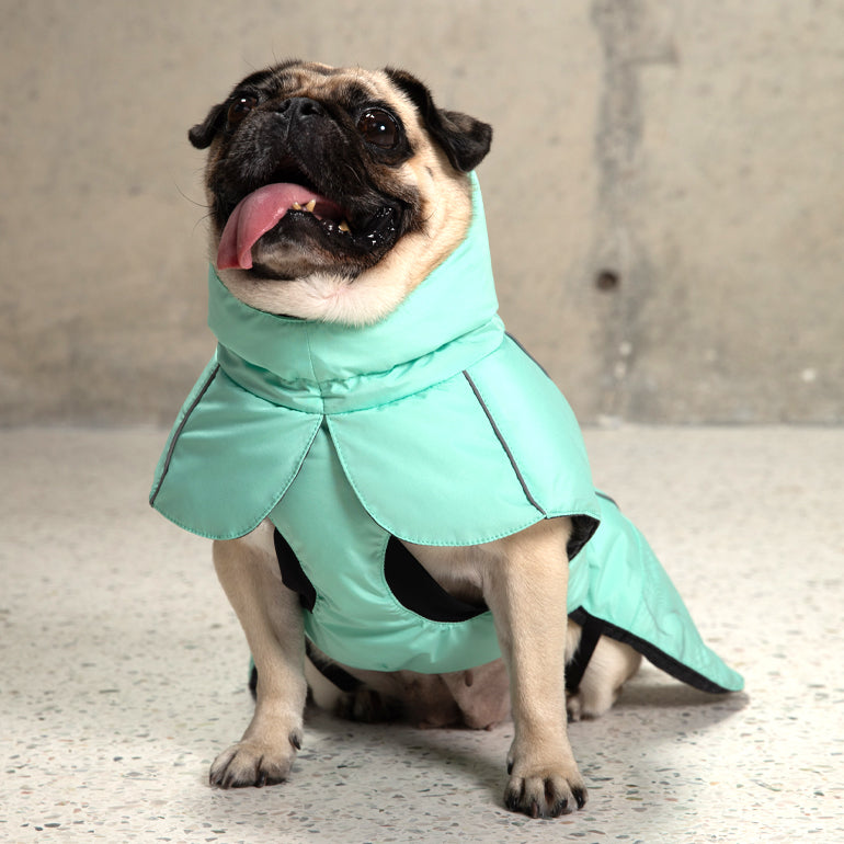 Anna Winter Vest - Mint