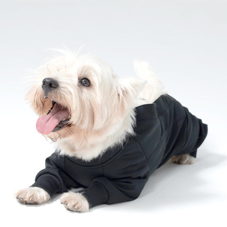 Bibi Belly Protecting Breathable Onesie - Black