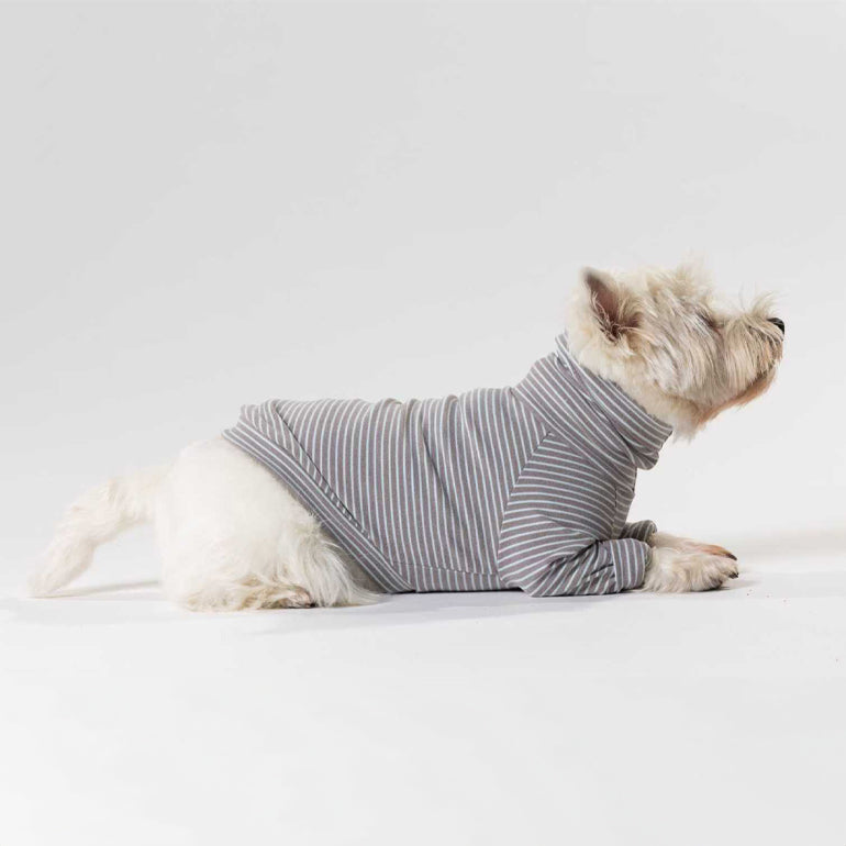 Buttercup - Grey & Light Blue Stripe