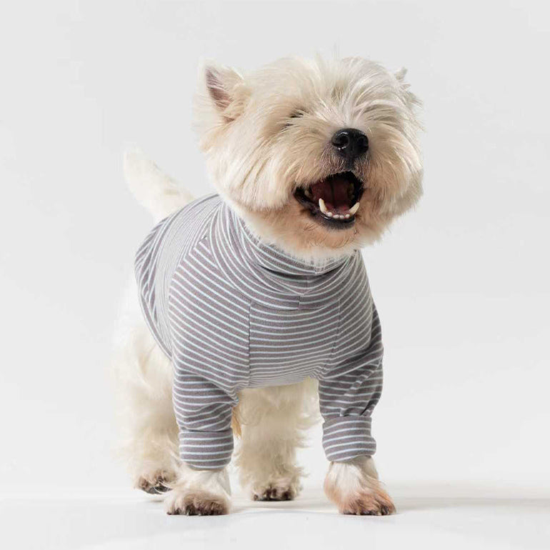 Buttercup - Grey & Light Blue Stripe