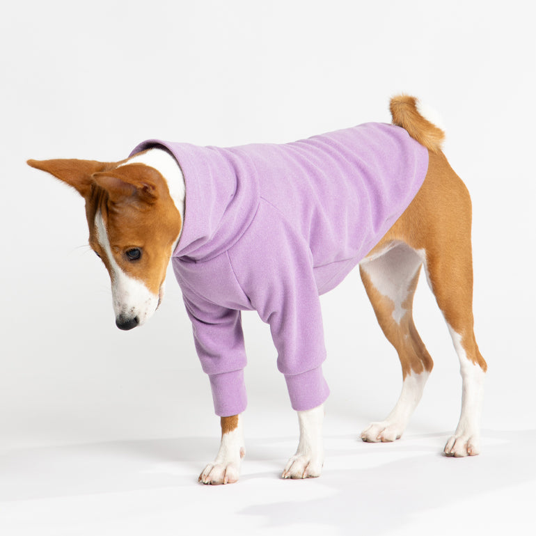 Buttercup - Lavender