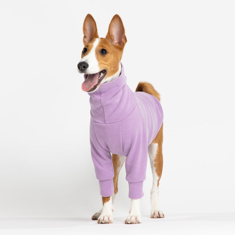 Buttercup - Lavender