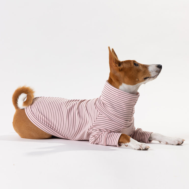 Buttercup - Pink & Brown Stripe