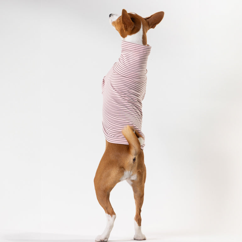 Buttercup - Pink & Brown Stripe