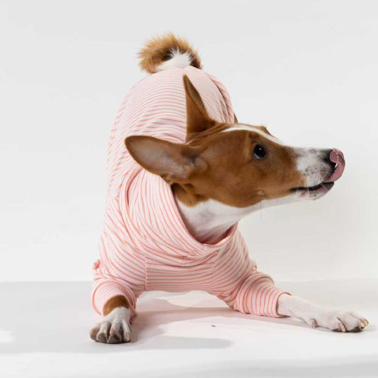 Buttercup - Pink & Pink Stripe